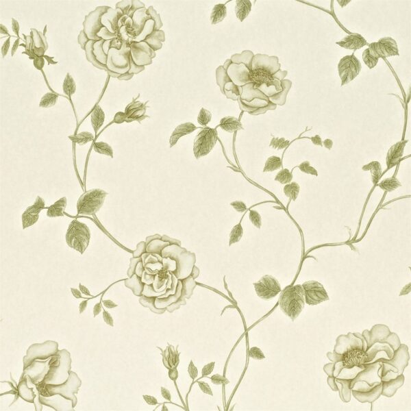 Обои Sanderson A Painters Garden DAPGRO101