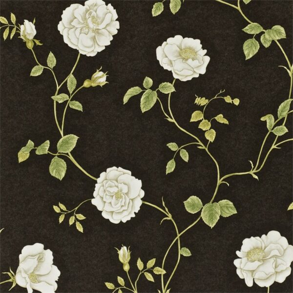 Обои Sanderson A Painters Garden DAPGRO104