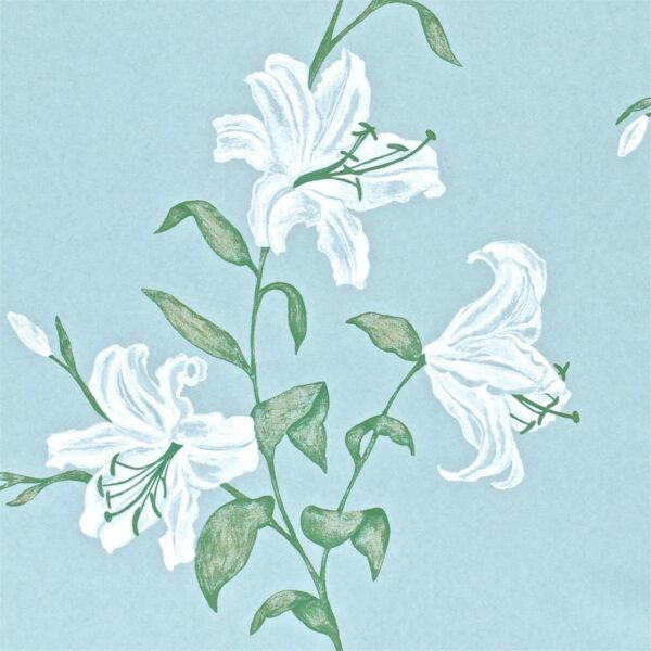Обои Sanderson A Painters Garden DAPGSE103
