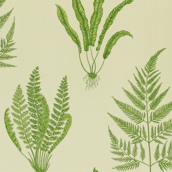Обои Sanderson A Painters Garden DAPGWO102