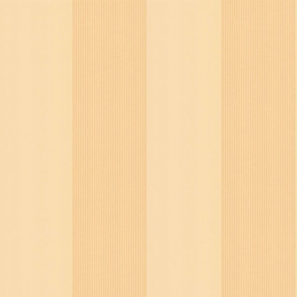 Elephant Stripe-Saffron
