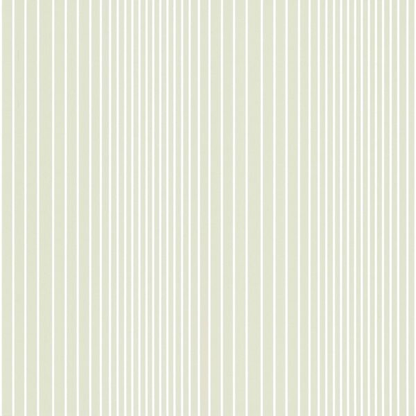 Ombre Plain-Seashell