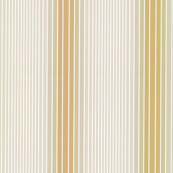 Ombre Stripe-Lichen/doric
